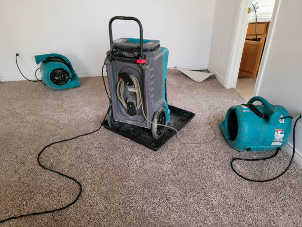 Best Wood Floor Water Damage Restoration in La Puente, CA